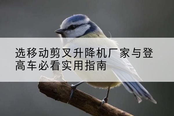 科尔沁右翼中旗电动升降机厂家-选移动剪叉升降机厂家与登高车必看实用指南