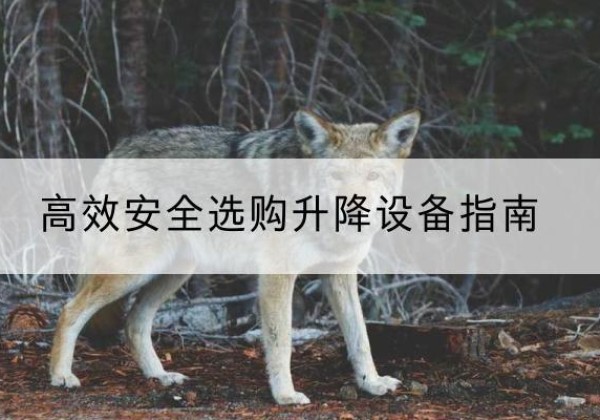 科尔沁右翼中旗升降货梯厂家推荐-*安全选购升降设备指南